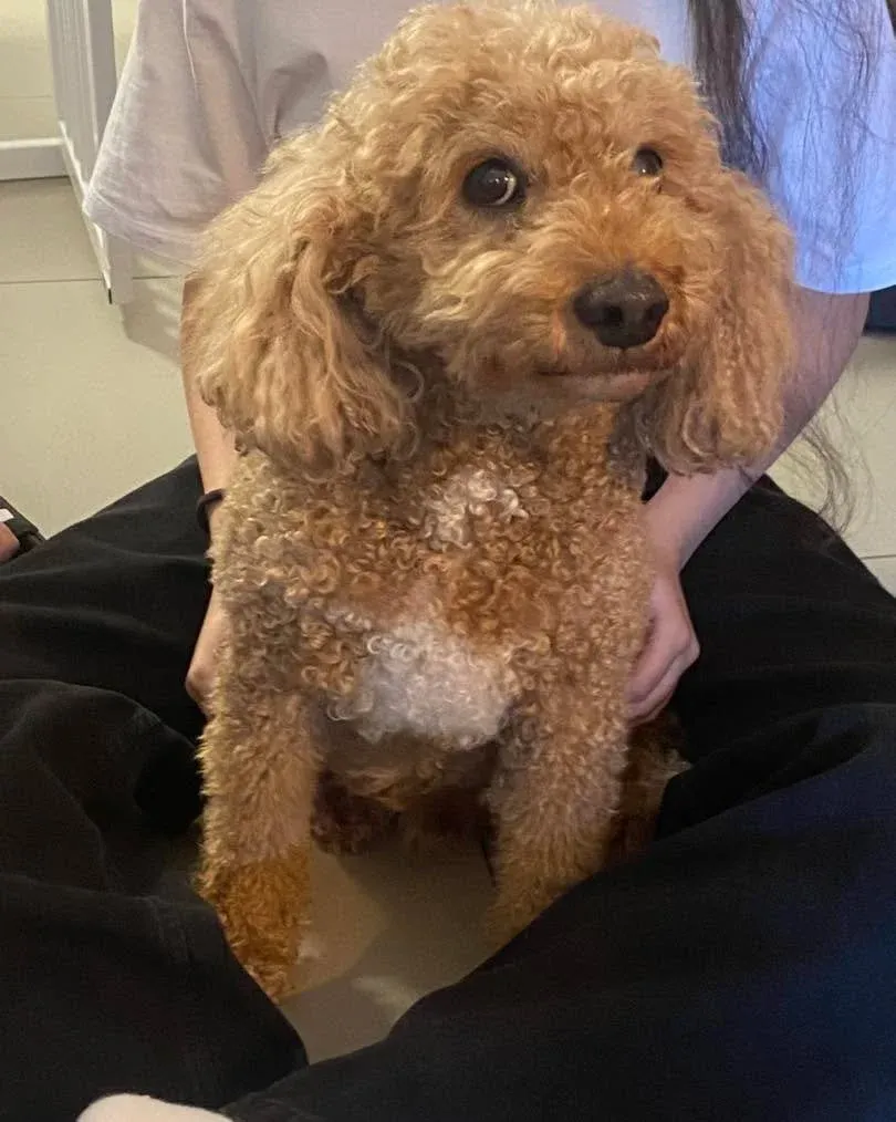 Charlie